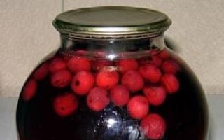 How to make cherry compote for the winter