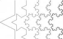 Examples of fractal structures in nature